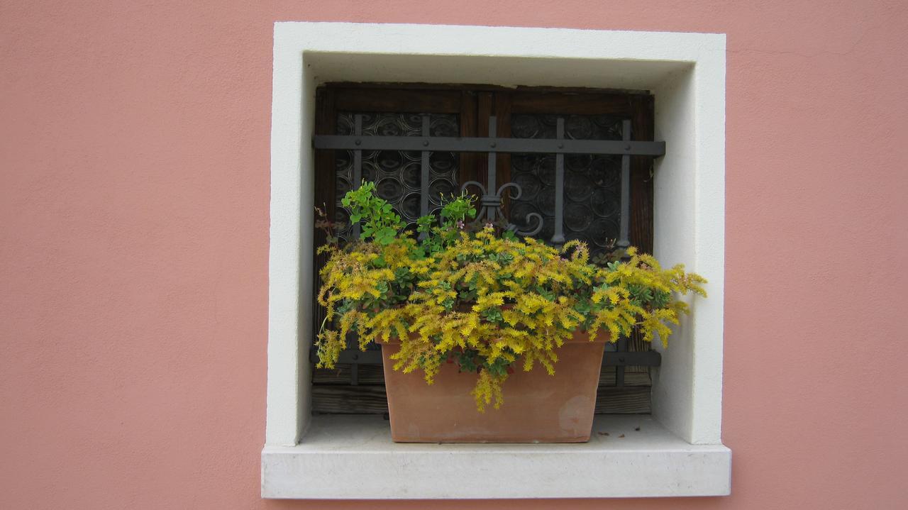 La Residence Da Caterina Vittorio Veneto Extérieur photo